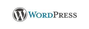 Widget pentru WordPress